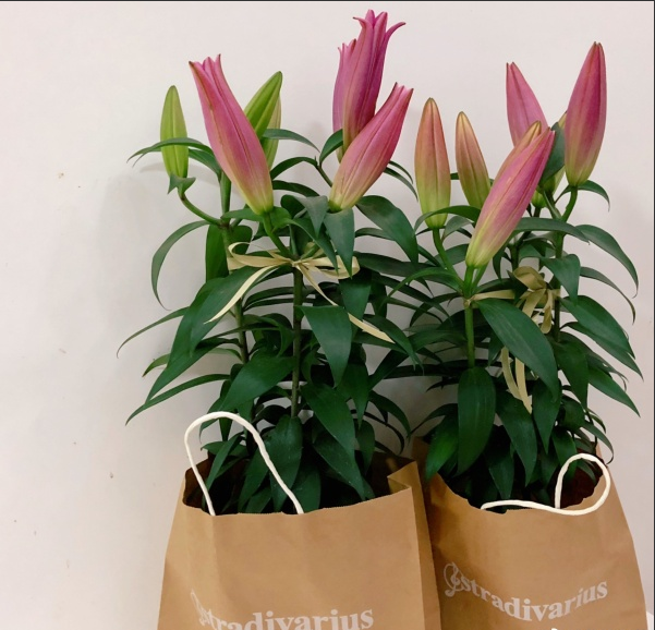 聽說這個七夕，鮮花和牛皮紙袋更配哦！